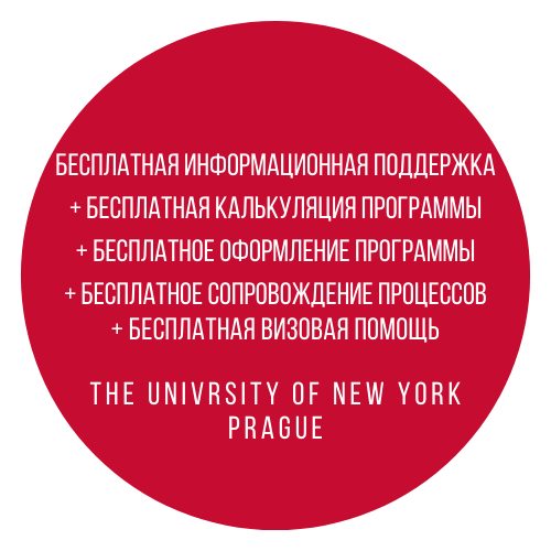 Оформление университета в Праге