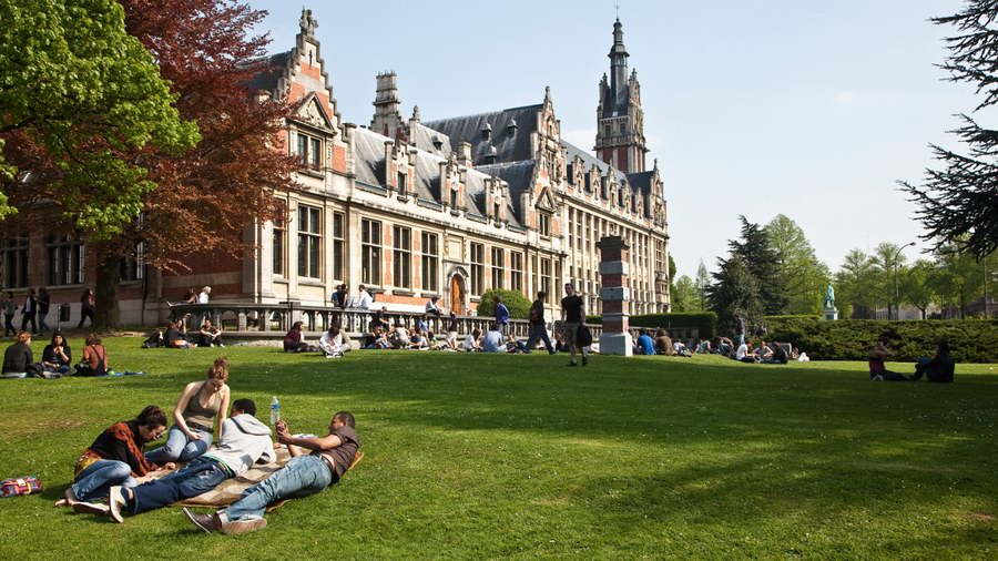 Университет в Нидерландах