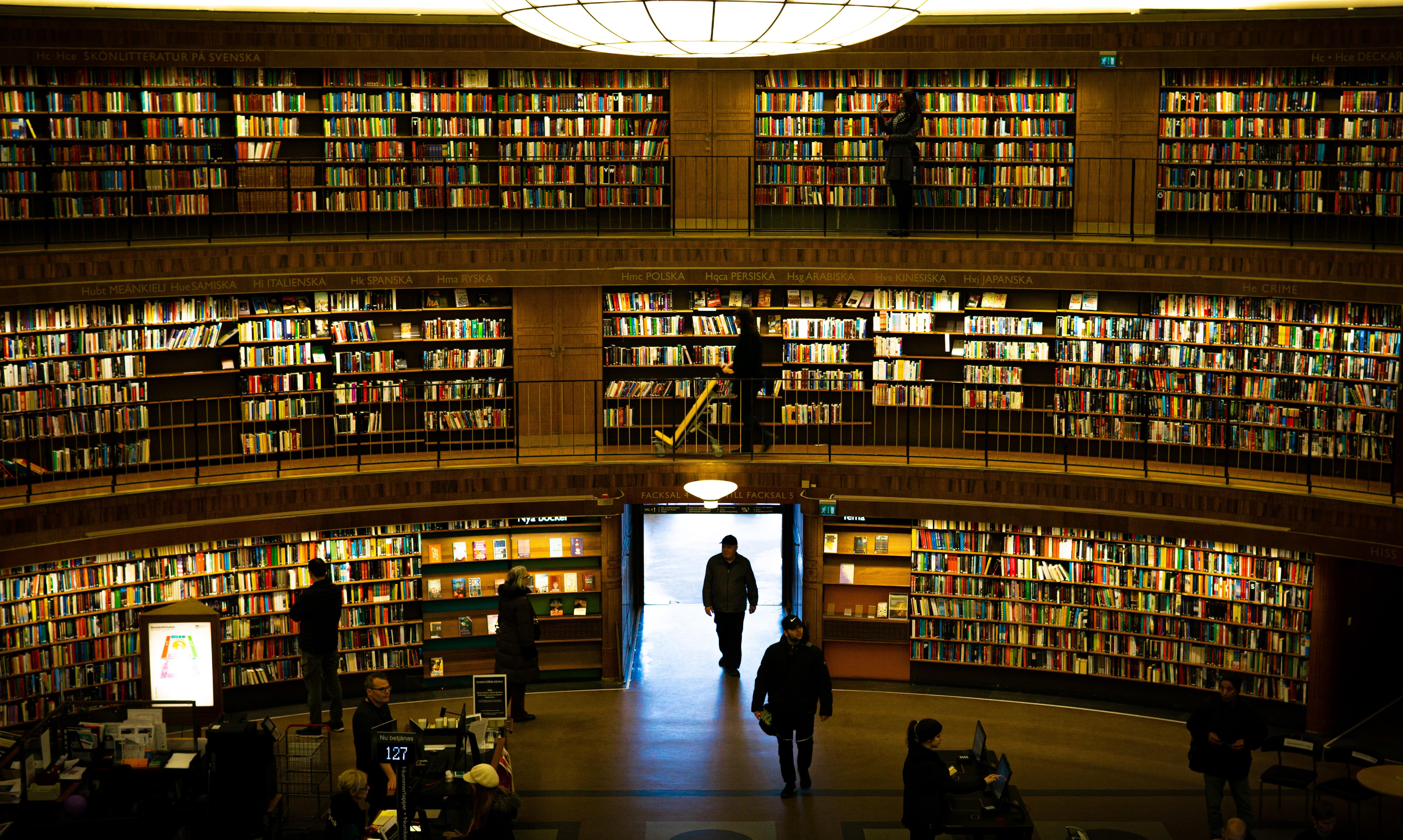 библиотека вуза швеции