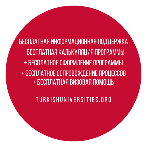 Оформление программы обучения в Турции